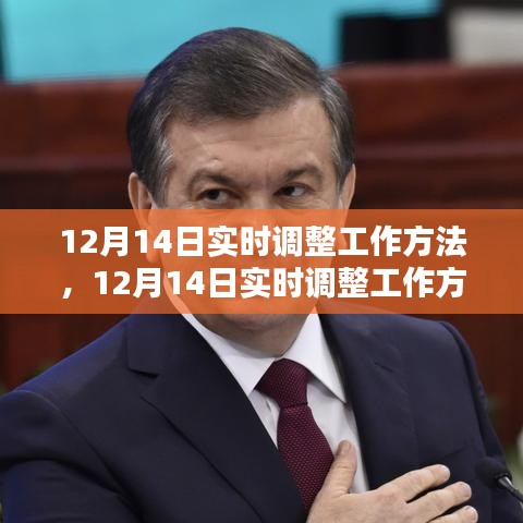 詳細(xì)步驟指南，如何在十二月十四日實時調(diào)整工作方法？