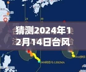 臺風(fēng)塔巴預(yù)測，2024年12月14日實(shí)時路徑分析與評測報告
