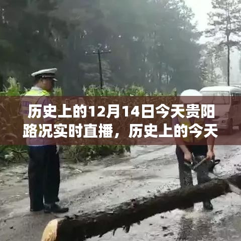 歷史上的今天與實時直播，貴陽路況見證變化的力量與自信之光