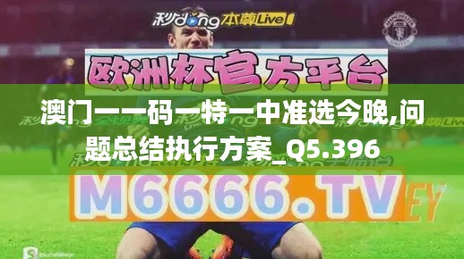 澳門一一碼一特一中準選今晚,問題總結(jié)執(zhí)行方案_Q5.396