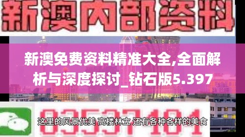新澳免費(fèi)資料精準(zhǔn)大全,全面解析與深度探討_鉆石版5.397