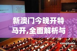 新澳門今晚開特馬開,全面解析與深度體驗_黃金版12.796