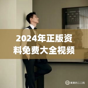 2024年正版資料免費大全視頻,全面解析與深度體驗_DX版10.678