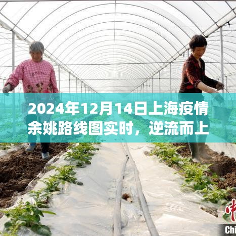 上海余姚抗疫之路與成長圖譜，逆流而上，實時追蹤疫情路線圖至未來展望