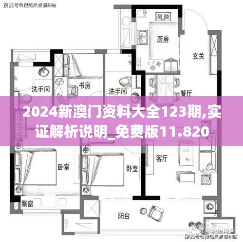2024新澳門(mén)資料大全123期,實(shí)證解析說(shuō)明_免費(fèi)版11.820