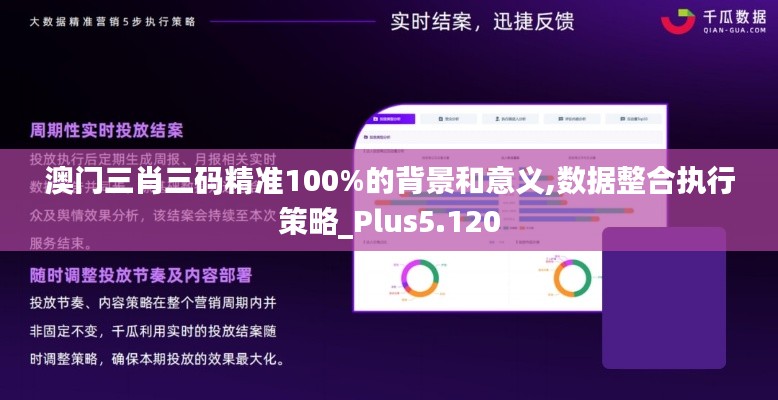 澳門三肖三碼精準(zhǔn)100%的背景和意義,數(shù)據(jù)整合執(zhí)行策略_Plus5.120