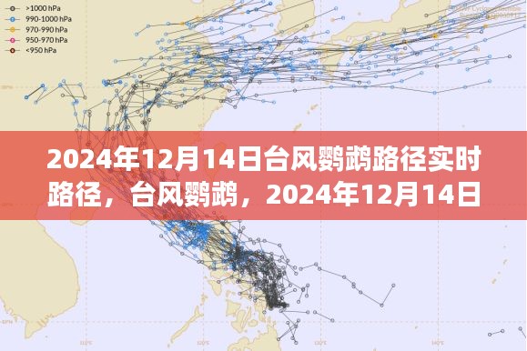 臺風(fēng)鸚鵡實時路徑追蹤，風(fēng)云際會于2024年12月14日