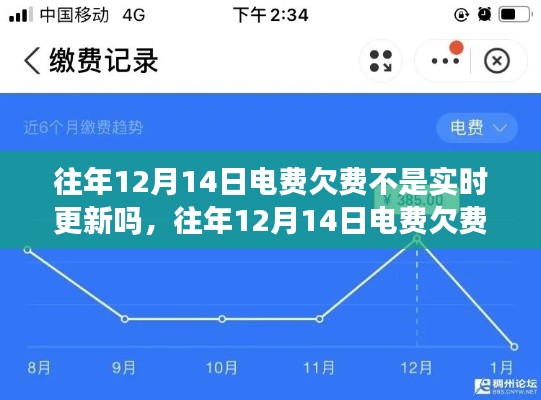 往年12月14日電費欠費未實時更新的原因解析與案例分析