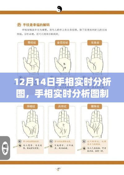 手相實(shí)時(shí)分析圖制作指南，從初學(xué)者到進(jìn)階用戶，以12月14日手相分析為例