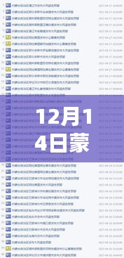 揭秘蒙古實(shí)時(shí)填報(bào)，深度解析與探討（12月14日）