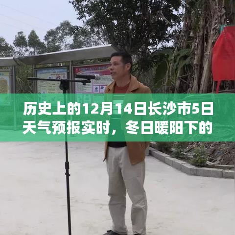 冬日暖陽下的長沙奇遇，12月14日天氣預(yù)報與友情故事的交織