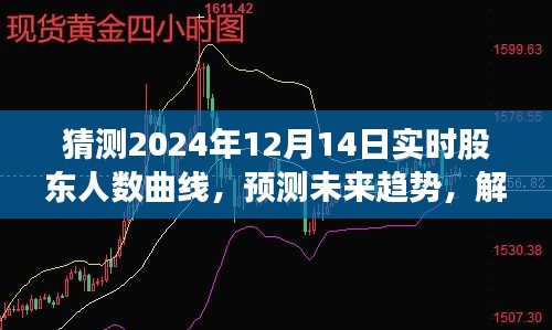 未來趨勢預測與股東人數(shù)曲線解析，2024年12月14日實時股東人數(shù)曲線產(chǎn)品評測報告