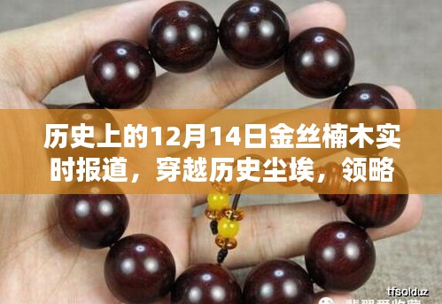 歷史上的金絲楠木，穿越時(shí)光塵埃，智能家具時(shí)代的新紀(jì)元實(shí)時(shí)報(bào)道