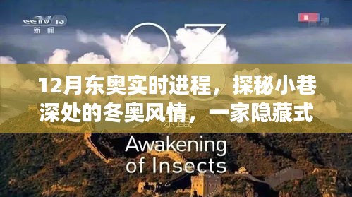 探秘冬奧風(fēng)情，一家隱藏式特色小店的奇妙之旅——十二月東奧實(shí)時(shí)進(jìn)程報(bào)道