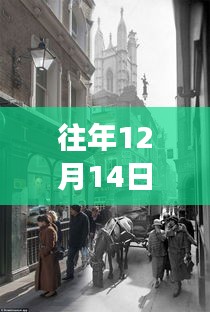 哈爾濱街景變遷下的自信與成長(zhǎng)，勵(lì)志直播之旅回顧