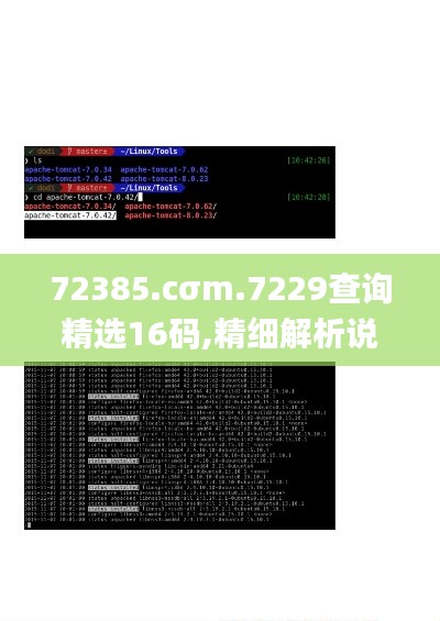 72385.cσm.7229查詢精選16碼,精細解析說明_Linux4.746