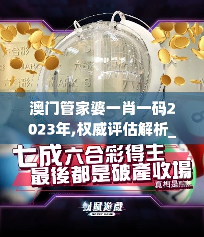澳門管家婆一肖一碼2023年,權(quán)威評估解析_Z10.333