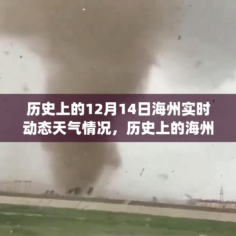 歷史上的海州，12月14日陽光下的成長之路與實(shí)時天氣動態(tài)