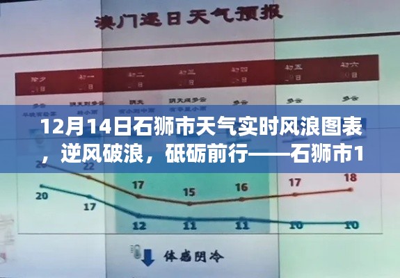 石獅市12月14日風(fēng)浪實(shí)時(shí)圖表與成長之旅，逆風(fēng)破浪，砥礪前行