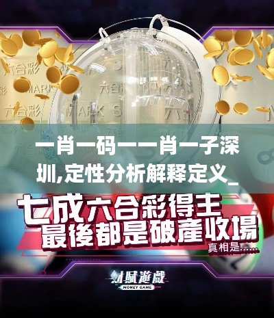 一肖一碼一一肖一子深圳,定性分析解釋定義_4DM7.285