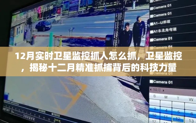 揭秘衛(wèi)星監(jiān)控科技力量，十二月精準抓捕行動的背后故事