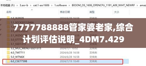 7777788888管家婆老家,綜合計(jì)劃評估說明_4DM7.429