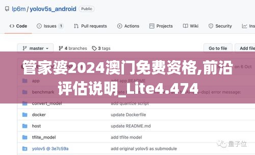 管家婆2024澳門(mén)免費(fèi)資格,前沿評(píng)估說(shuō)明_Lite4.474