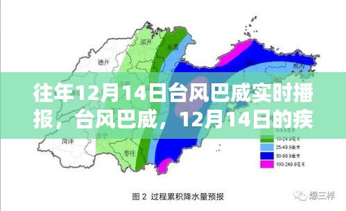 臺風(fēng)巴威來襲，疾風(fēng)驟雨與深遠(yuǎn)影響的實時播報（12月14日）