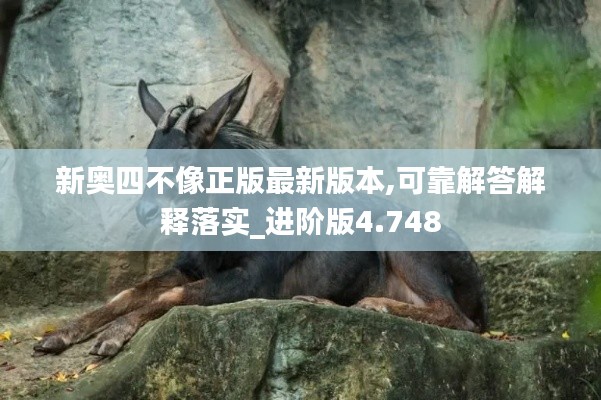新奧四不像正版最新版本,可靠解答解釋落實(shí)_進(jìn)階版4.748