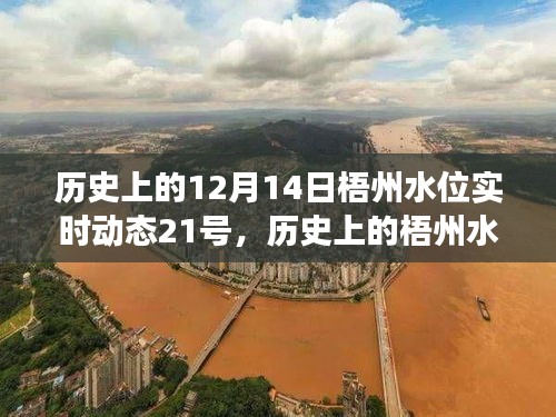 揭秘梧州水位變遷，歷史上的十二月十四日與二十一日水位動態(tài)回顧
