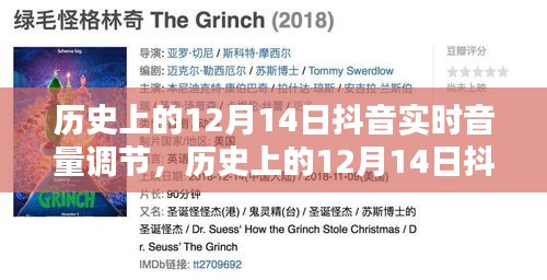 歷史上的12月14日抖音實(shí)時(shí)音量調(diào)節(jié)全攻略，從初學(xué)者到進(jìn)階用戶的必備技能