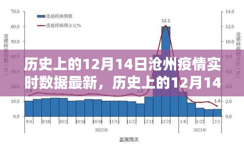 歷史上的12月14日滄州疫情實(shí)時(shí)數(shù)據(jù)深度測(cè)評(píng)與介紹，最新數(shù)據(jù)與介紹