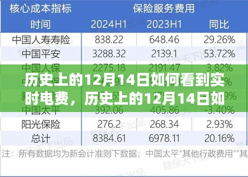 實(shí)用指南，歷史上的12月14日實(shí)時(shí)電費(fèi)查詢步驟——初學(xué)者與進(jìn)階用戶必看！