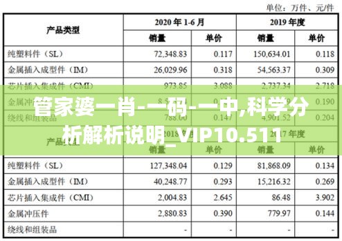 管家婆一肖-一碼-一中,科學(xué)分析解析說(shuō)明_VIP10.511