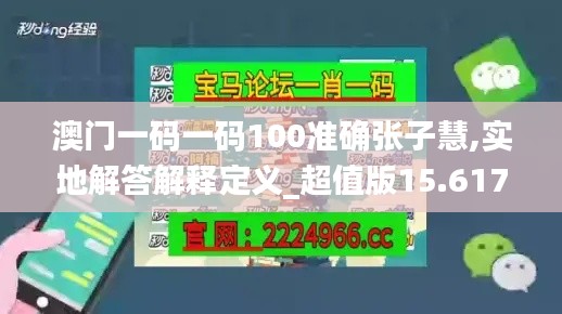 澳門一碼一碼100準(zhǔn)確張子慧,實地解答解釋定義_超值版15.617