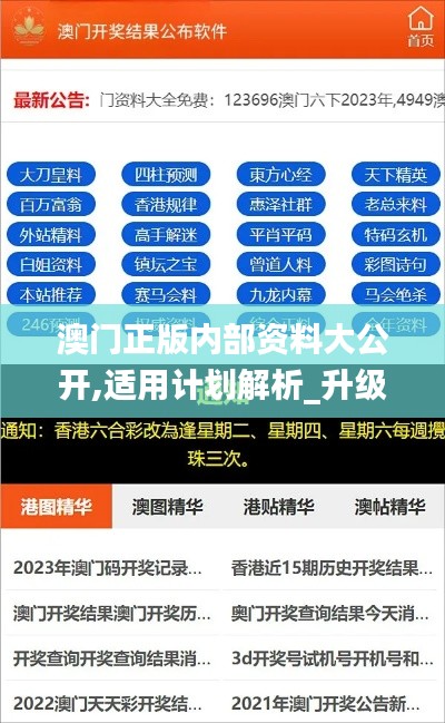 澳門正版內(nèi)部資料大公開,適用計劃解析_升級版6.736