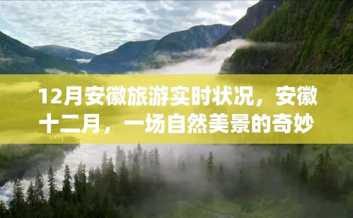 安徽十二月旅游實時狀況，自然美景之旅，探尋內(nèi)心的平和與寧靜