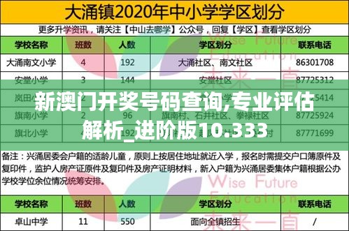 新澳門開(kāi)獎(jiǎng)號(hào)碼查詢,專業(yè)評(píng)估解析_進(jìn)階版10.333