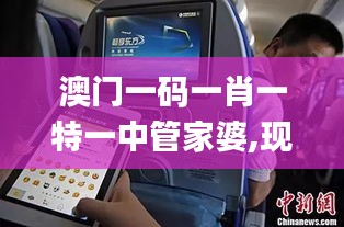 澳門一碼一肖一特一中管家婆,現(xiàn)象分析解釋定義_WearOS2.314