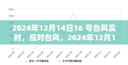 臺(tái)風(fēng)實(shí)時(shí)更新，關(guān)于臺(tái)風(fēng)防御指南，初學(xué)者與進(jìn)階用戶必備指南（2024年）