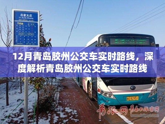 青島膠州公交車實時路線詳解，服務(wù)特性、體驗與競品對比