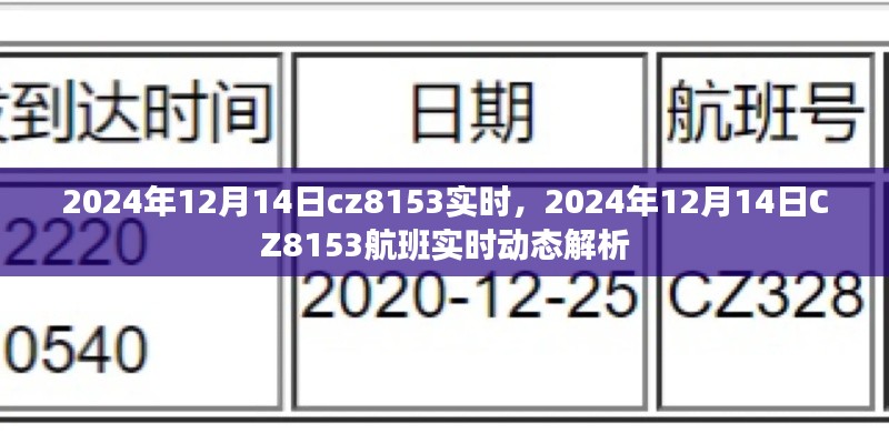 獨(dú)家解析，CZ8153航班在2024年12月14日的實(shí)時(shí)動(dòng)態(tài)