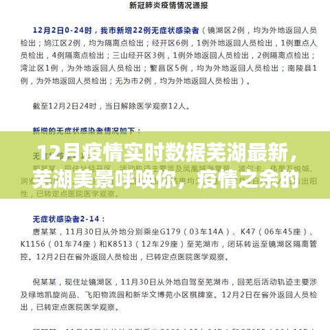 蕪湖疫情實時數(shù)據(jù)與美景探索，自然之旅喚醒內心平和的奇妙之旅