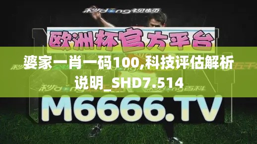 婆家一肖一碼100,科技評估解析說明_SHD7.514