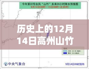 歷史上的12月14日高州山竹臺風事件深度解析與實時動態(tài)回顧
