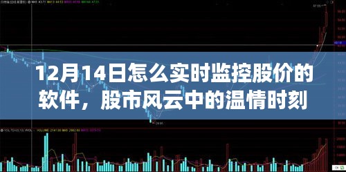 股市風(fēng)云中的溫情時刻，我與股價實時監(jiān)控軟件的日常探索