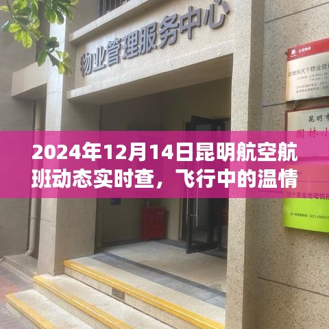 昆明航空航班動態(tài)實(shí)時查，飛行中的溫情紐帶與愛的陪伴之旅