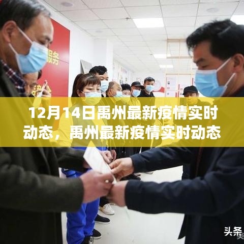 禹州疫情最新實(shí)時(shí)動(dòng)態(tài)深度解讀與案例分析（12月14日更新）