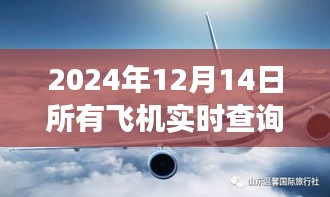 探秘小巷深處的寶藏，揭秘2024年飛機(jī)實(shí)時(shí)查詢軟件之旅
