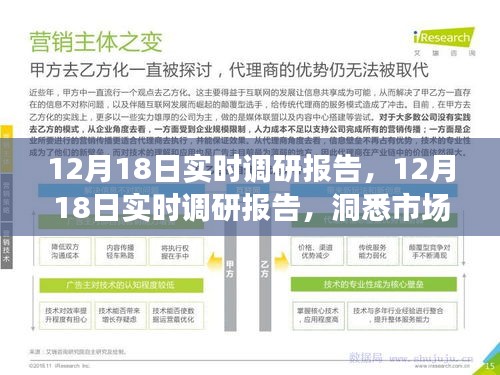揭秘市場動態(tài)與行業(yè)趨勢，最新實時調(diào)研報告（12月18日）